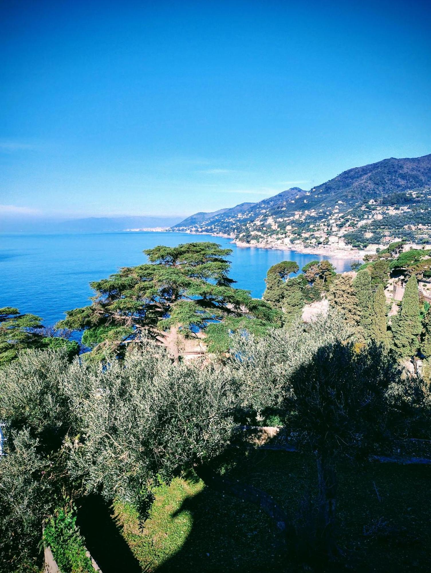 La Conchiglia Bed & Breakfast Camogli Exterior photo
