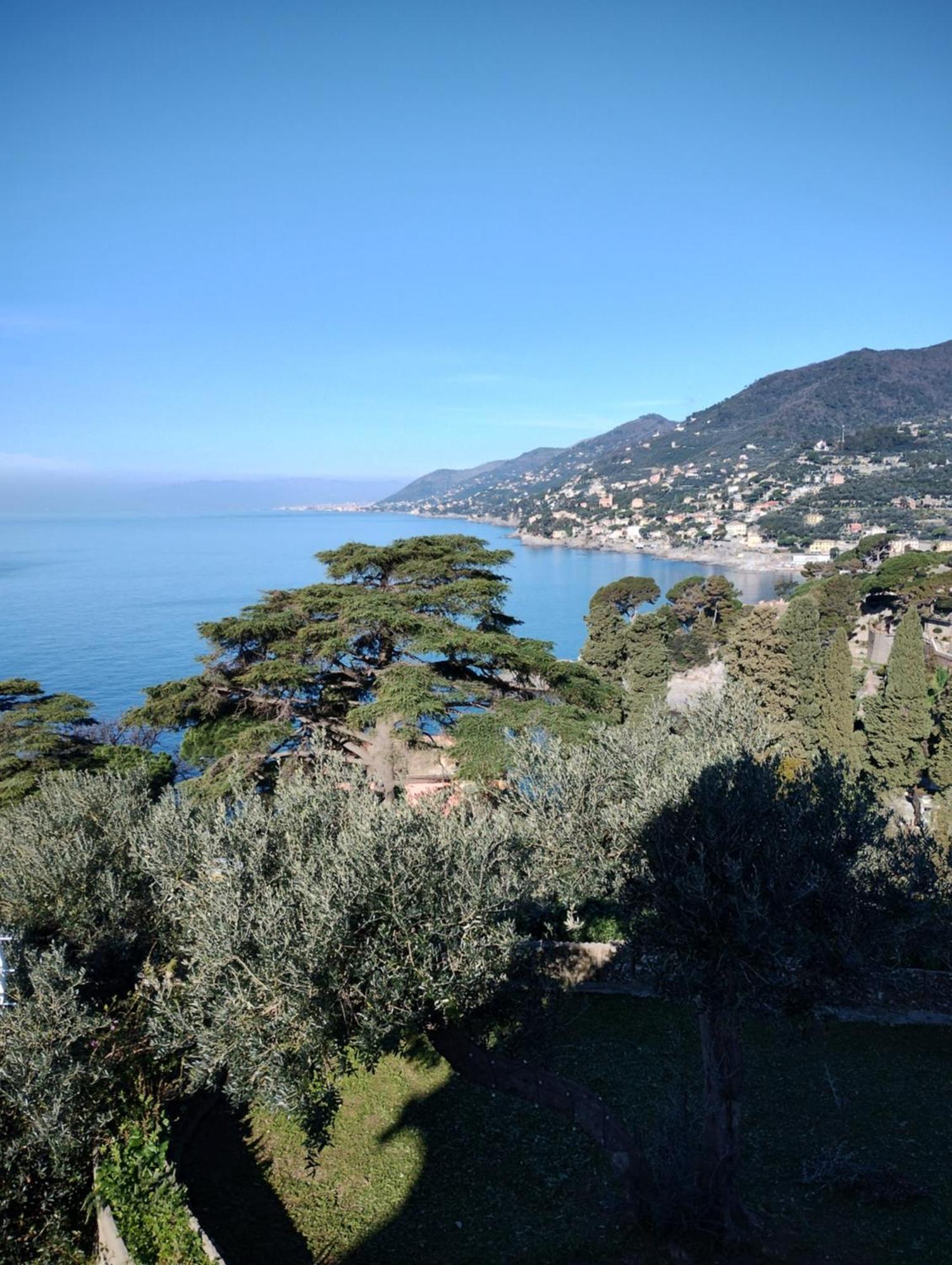 La Conchiglia Bed & Breakfast Camogli Exterior photo